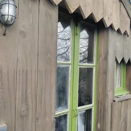 Perchee De Lys Dans Les Chenes Verts Et Le Micocoulier Argelliers