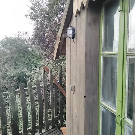 シャレー Perchee De Lys Dans Les Chenes Verts Et Le Micocoulier