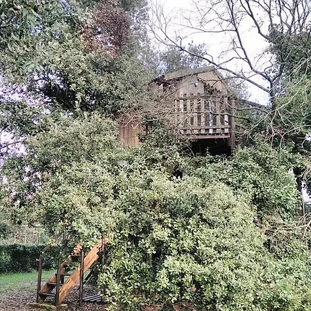 Perchee De Lys Dans Les Chenes Verts Et Le Micocoulier シャレー Argelliers