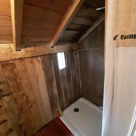 Perchee De Lys Dans Les Chenes Verts Et Le Micocoulier シャレー