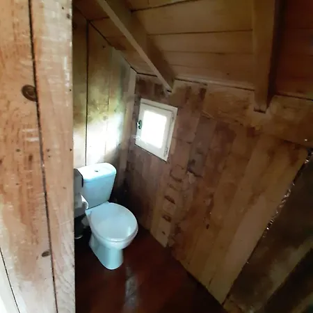 Perchee De Lys Dans Les Chenes Verts Et Le Micocoulier シャレー *