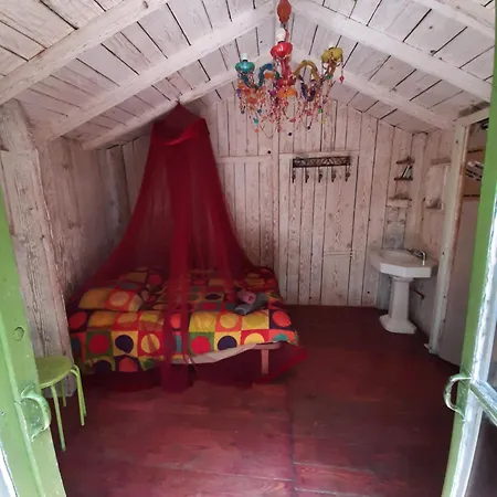 Chalet Perchee De Lys Dans Les Chenes Verts Et Le Micocoulier *