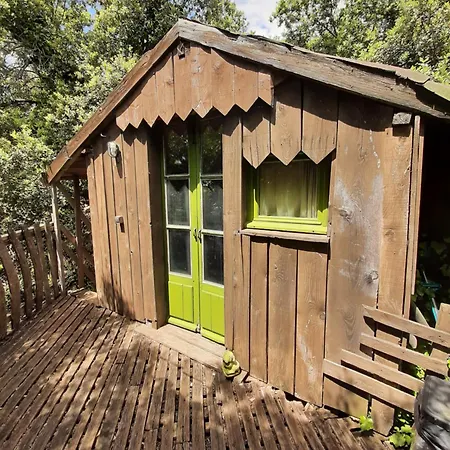 シャレー Perchee De Lys Dans Les Chenes Verts Et Le Micocoulier Argelliers