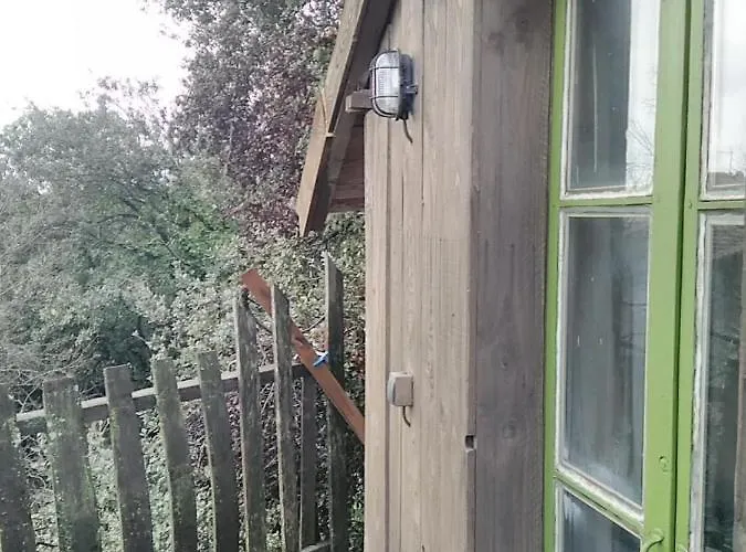 Dağ evi Perchee De Lys Dans Les Chenes Verts Et Le Micocoulier