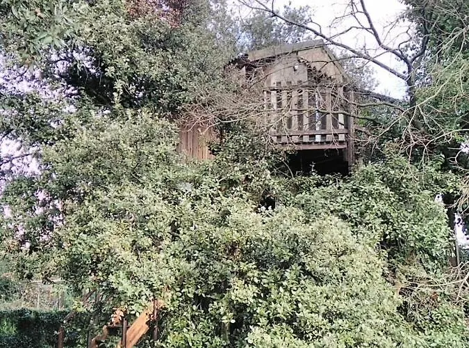 Perchee De Lys Dans Les Chenes Verts Et Le Micocoulier Dağ evi Argelliers