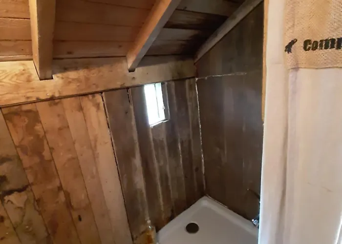 Perchee De Lys Dans Les Chenes Verts Et Le Micocoulier Dağ evi