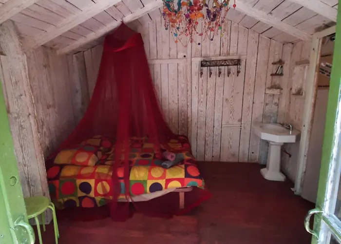 Dağ evi Perchee De Lys Dans Les Chenes Verts Et Le Micocoulier *