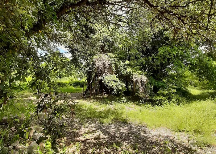 Dağ evi Perchee De Lys Dans Les Chenes Verts Et Le Micocoulier *