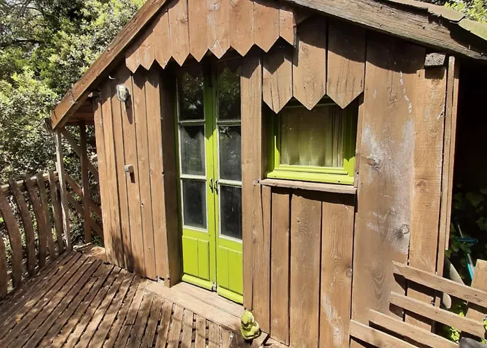 Dağ evi Perchee De Lys Dans Les Chenes Verts Et Le Micocoulier Argelliers